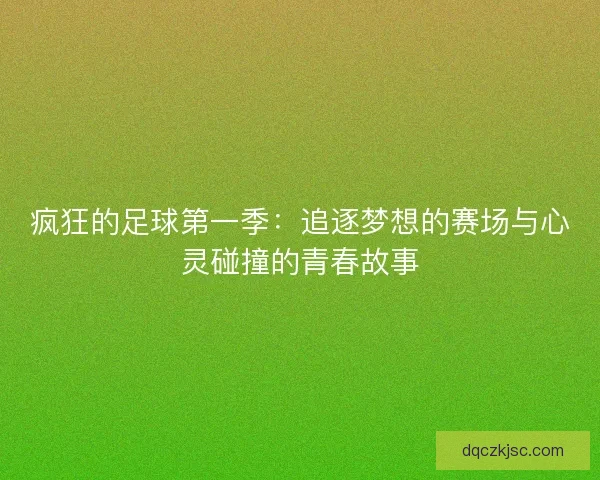 疯狂的足球第一季：追逐梦想的赛场与心灵碰撞的青春故事