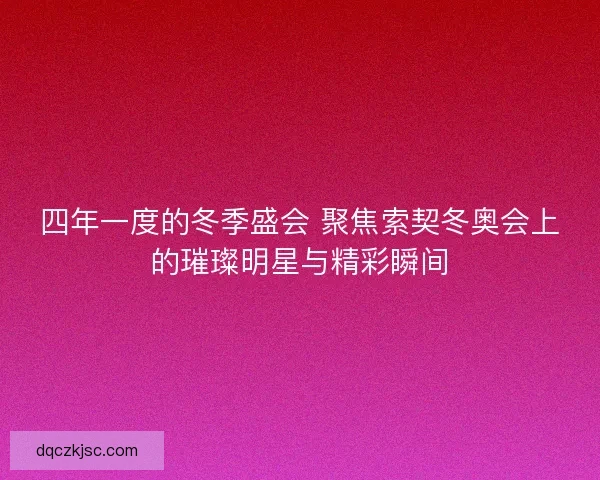 四年一度的冬季盛会 聚焦索契冬奥会上的璀璨明星与精彩瞬间